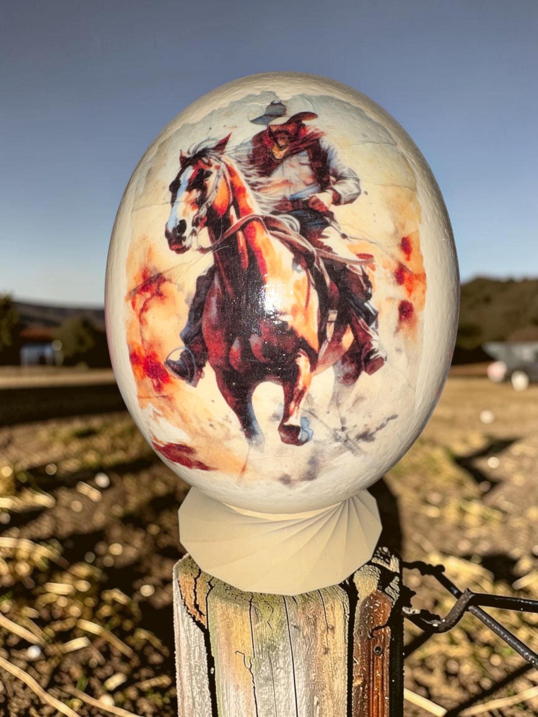 Ostrich Egg Decor