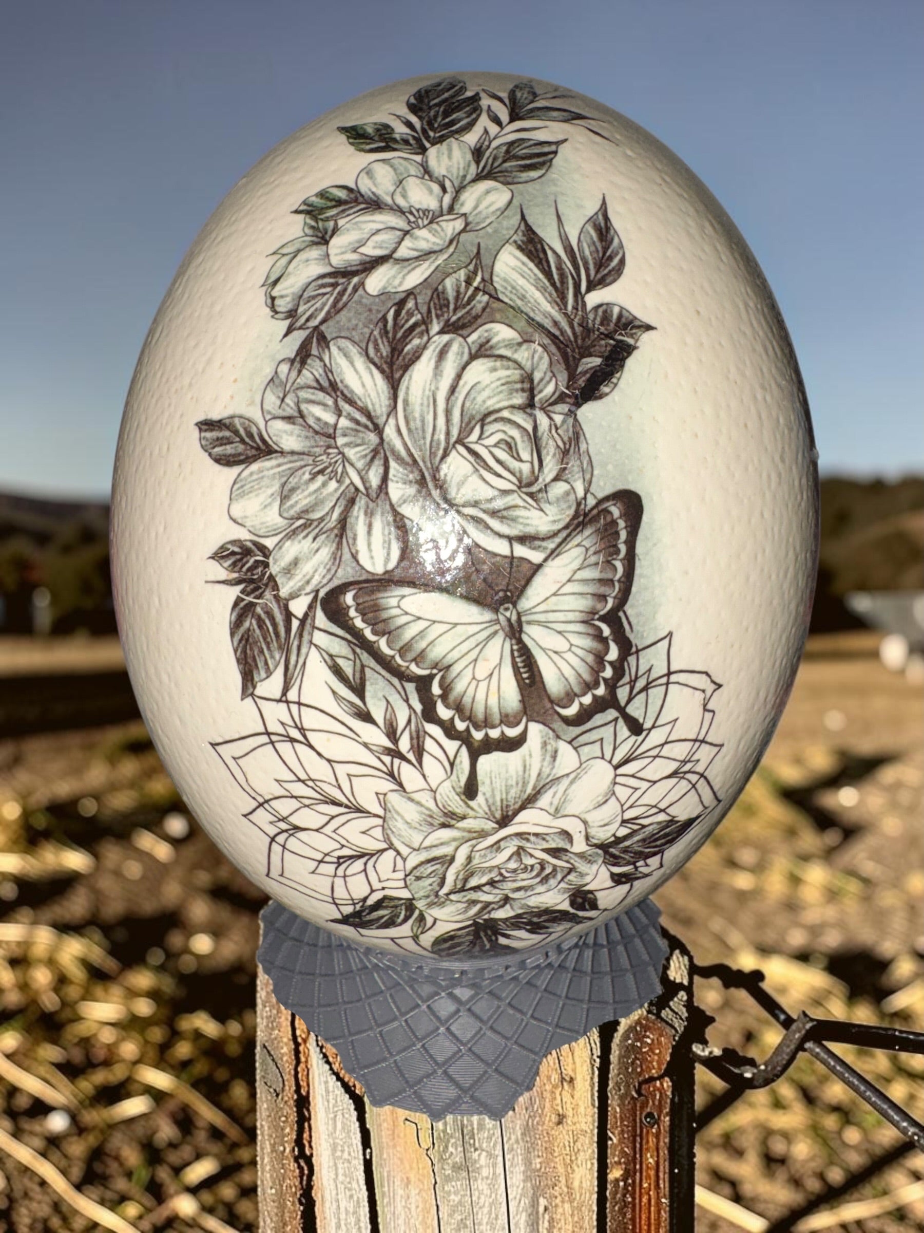 Ostrich Egg Decor