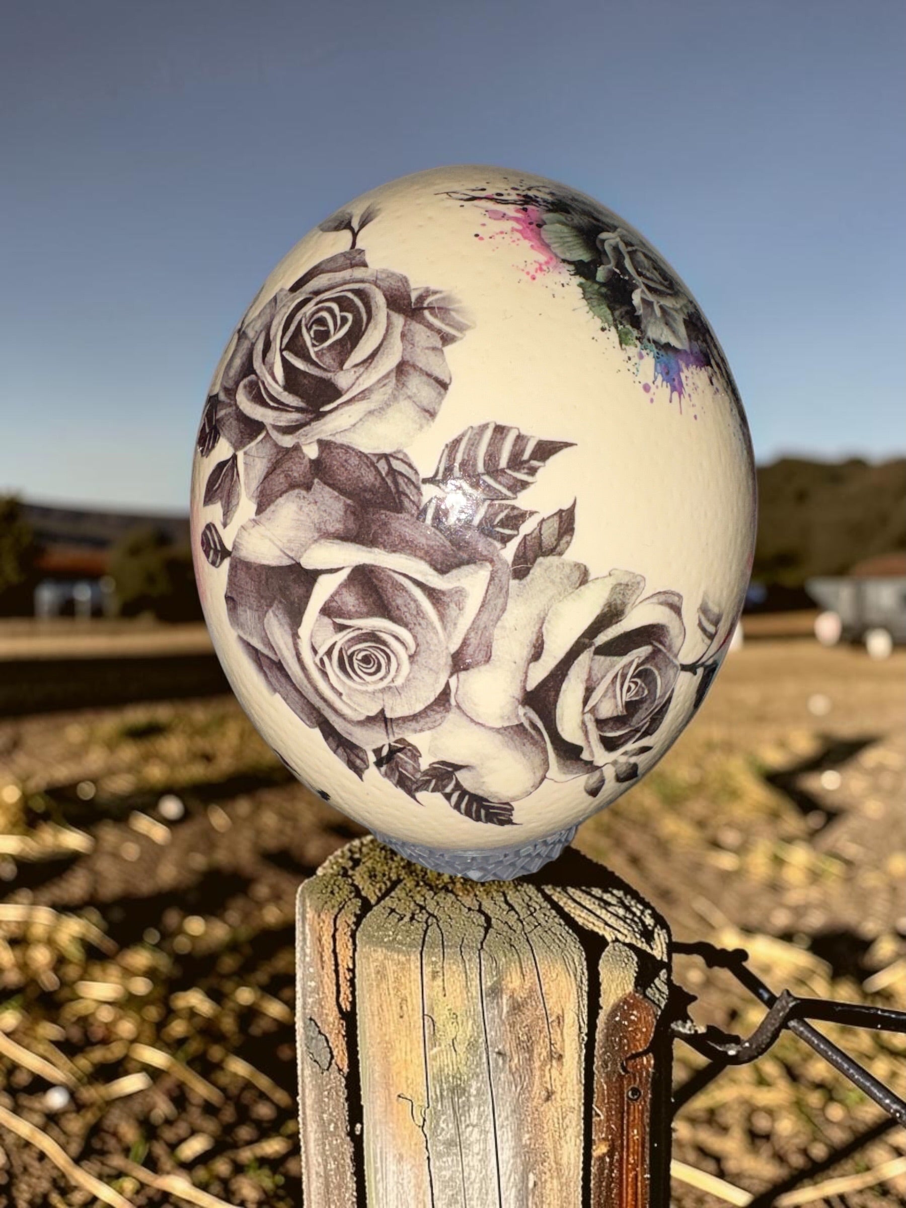 Ostrich Egg Decor