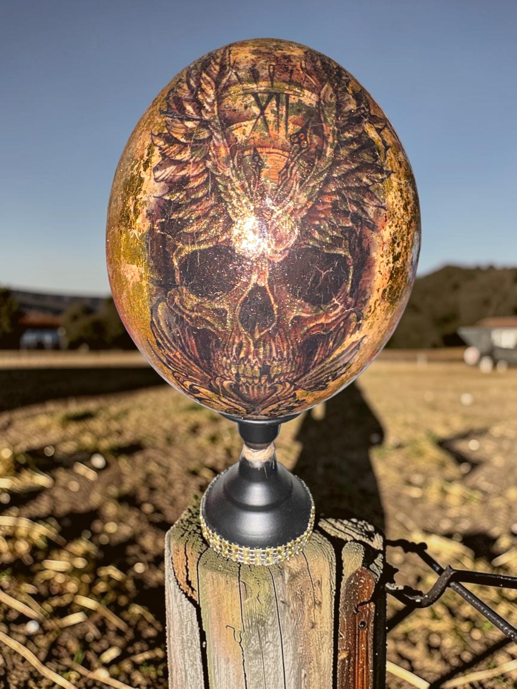 Ostrich Egg Decor