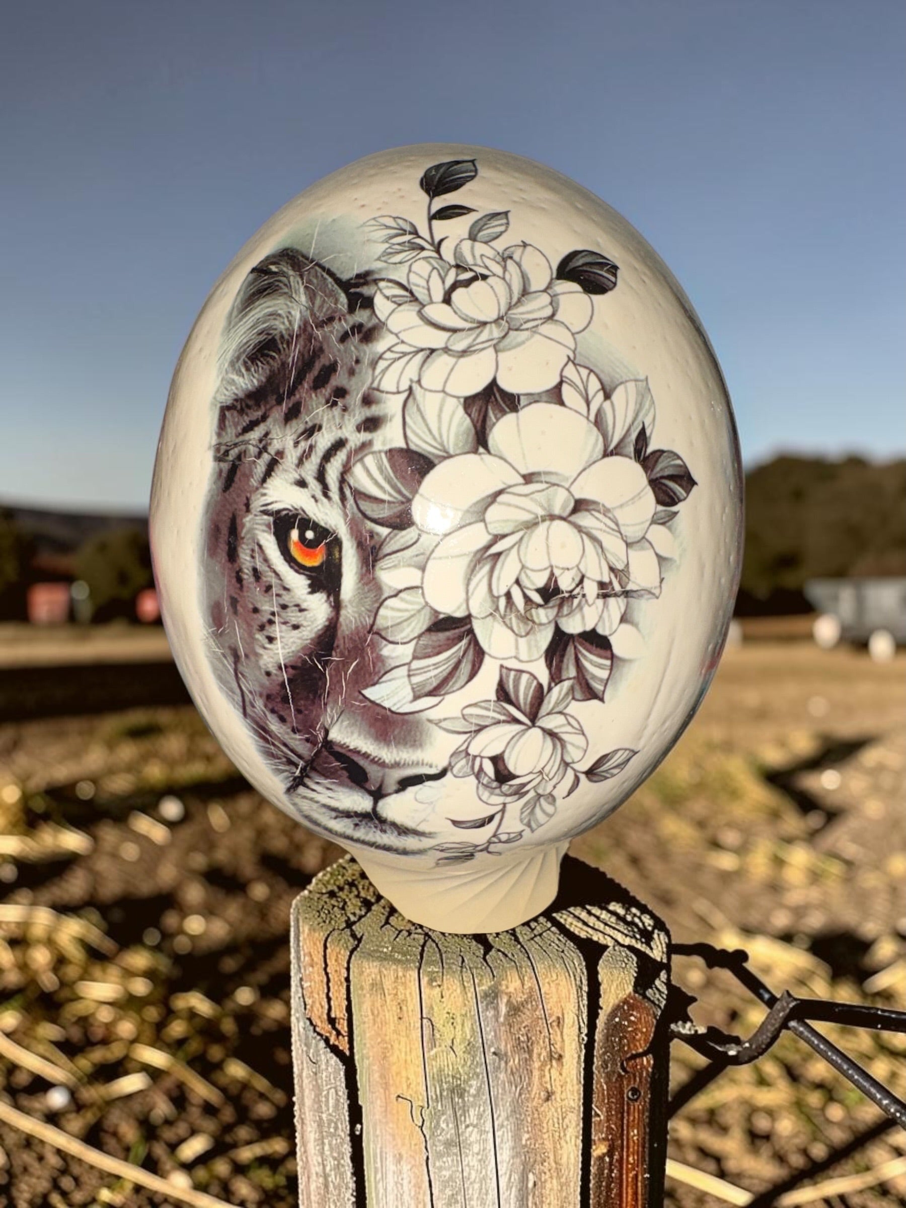 Ostrich Egg Decor