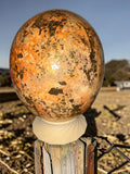 Ostrich Egg Decor