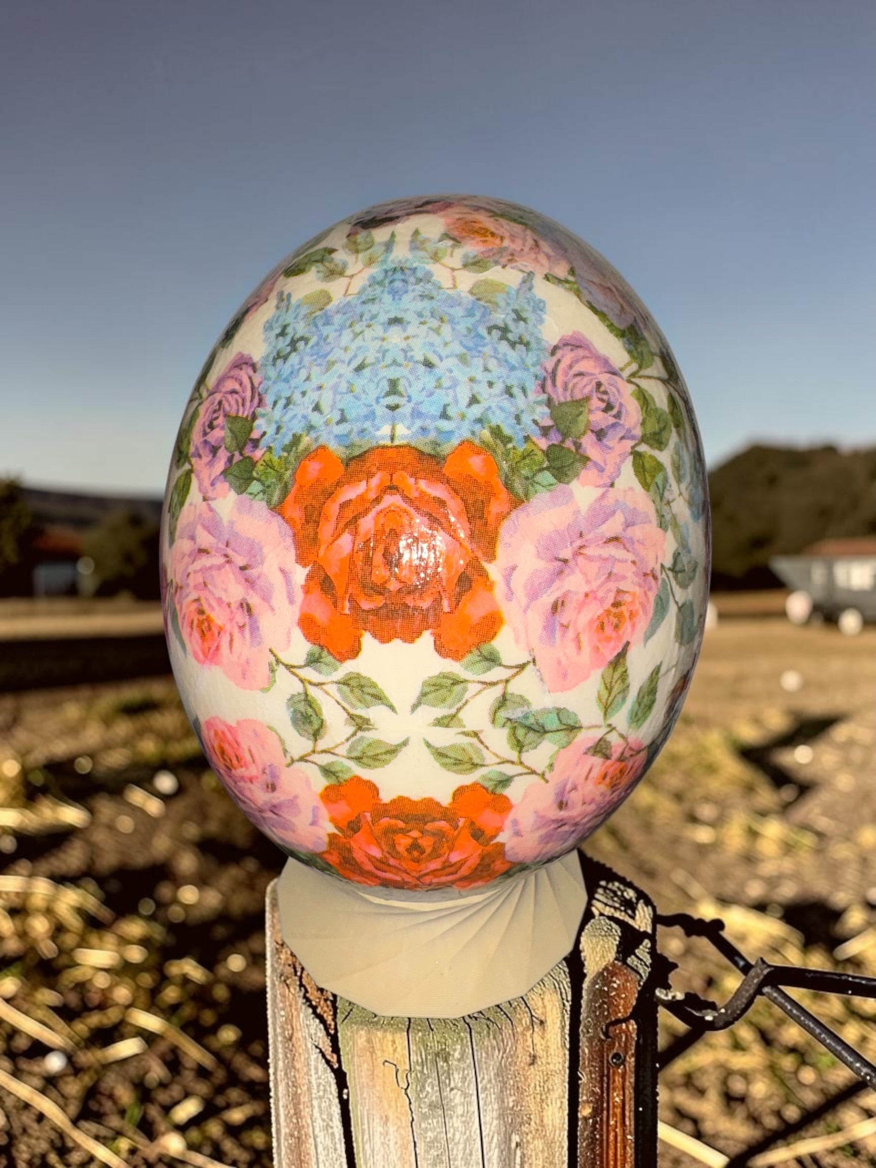 Ostrich Egg Decor