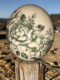 Ostrich Egg Decor