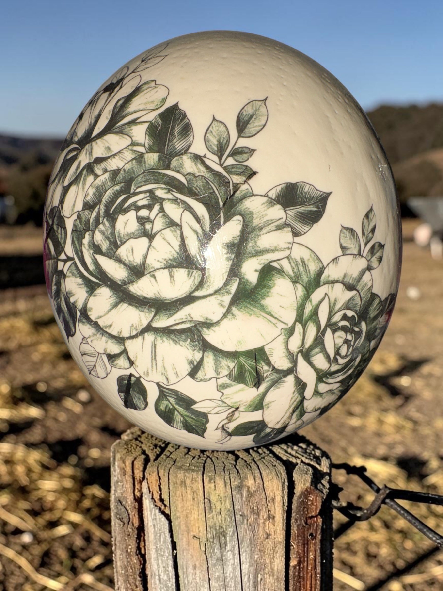 Ostrich Egg Decor