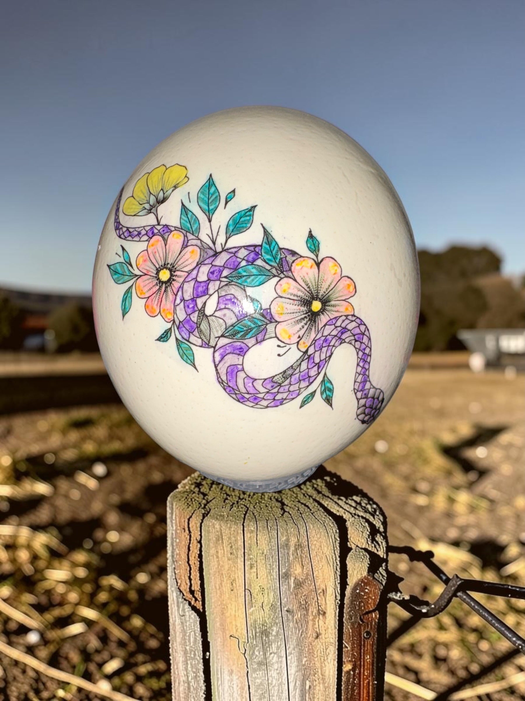 Ostrich Egg Decor